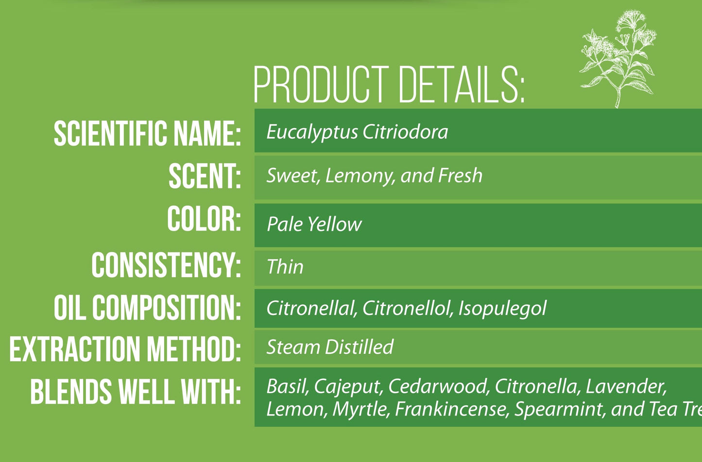 Lemon Eucalyptus Essential Oil 100% Pure Natural Unadulterated Oil for Hair and Skin 1 fl oz by Pomberries