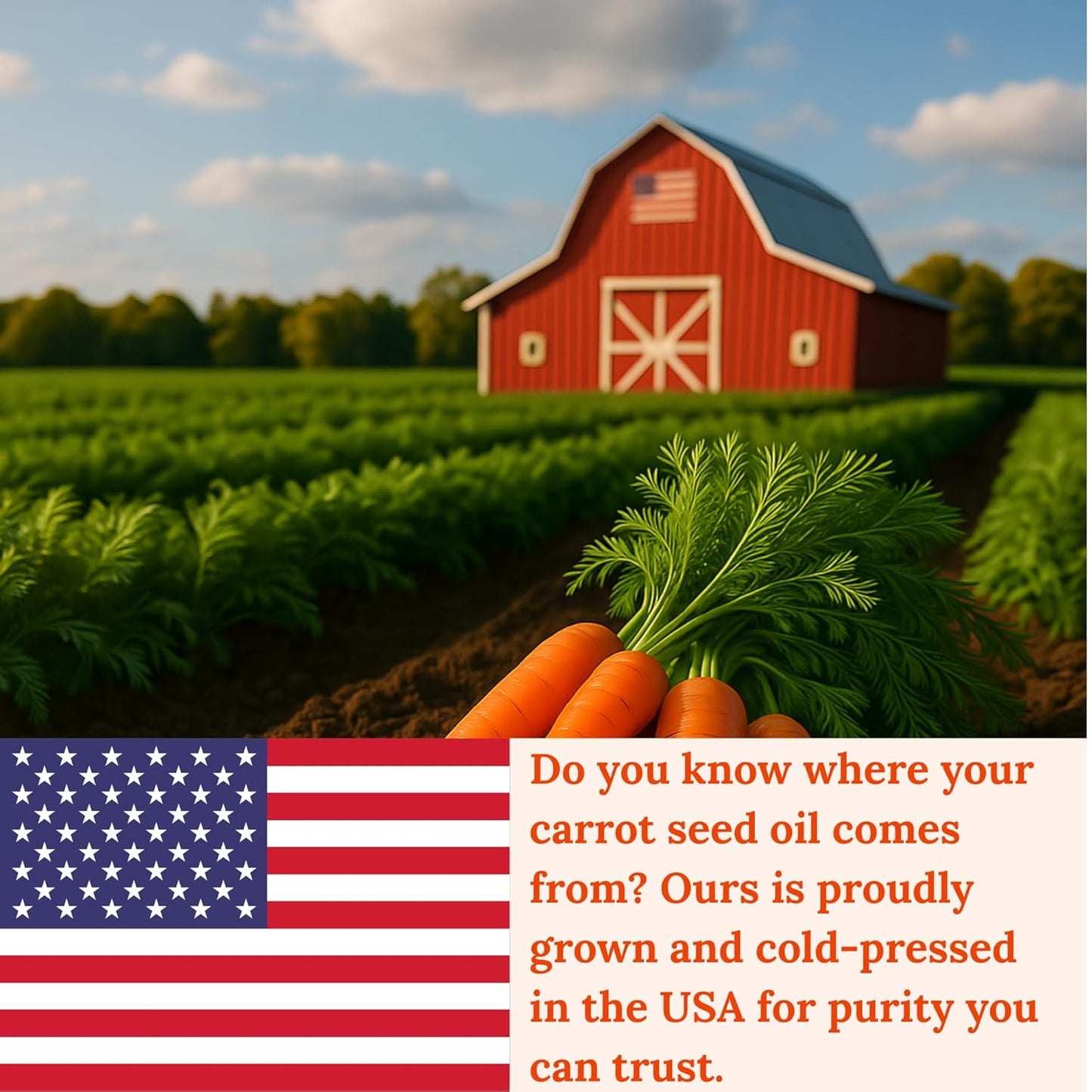 Pomberries Carrot Seed Oil – 100% Pure Cold-Pressed Carrier Oil for Face, Hair & Skin – Hexane-Free Natural Moisturizer, 4 fl oz Glass Bottle, Made in USA