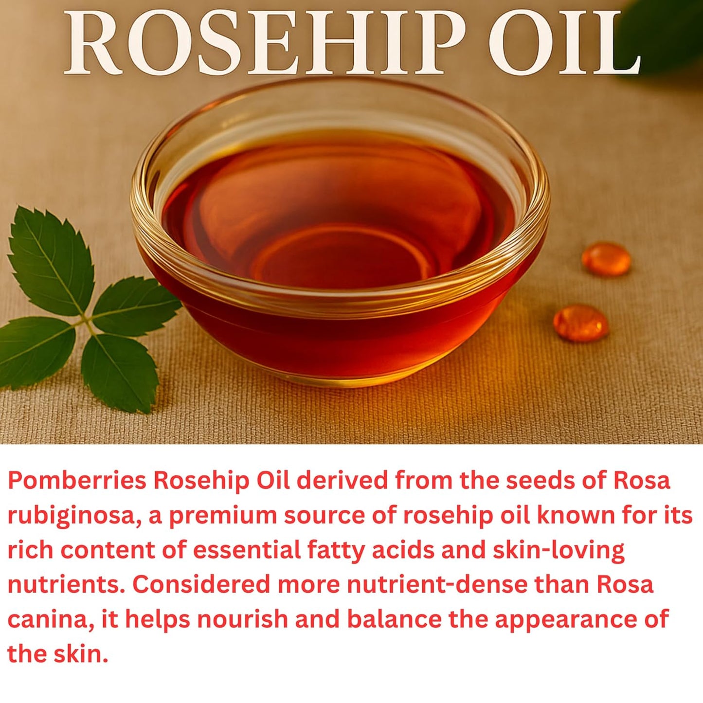Rosehip Oil – 16 fl oz Glass Bottle with Pump – Cold-Pressed & Unrefined, Rosehip Oil for Face, Skin & Hair – Natural Moisturizer for Scars, Wrinkles, Stretch Marks & Gua Sha Massage