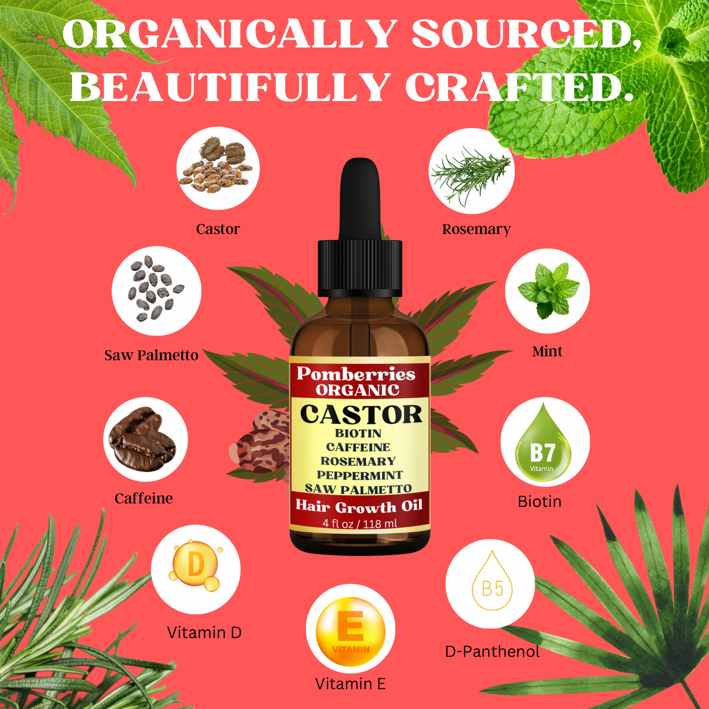 Pomberries Organic Castor Oil with Rosemary, Mint, Caffeine, and Saw Palmetto Scalp & Hair Oil, Treatment, Stimulate Growth for Eyebrows & Hair, Reduce Hair Loss, Revitalize & Strengthen, 4 fl oz( with Scalp Massager)