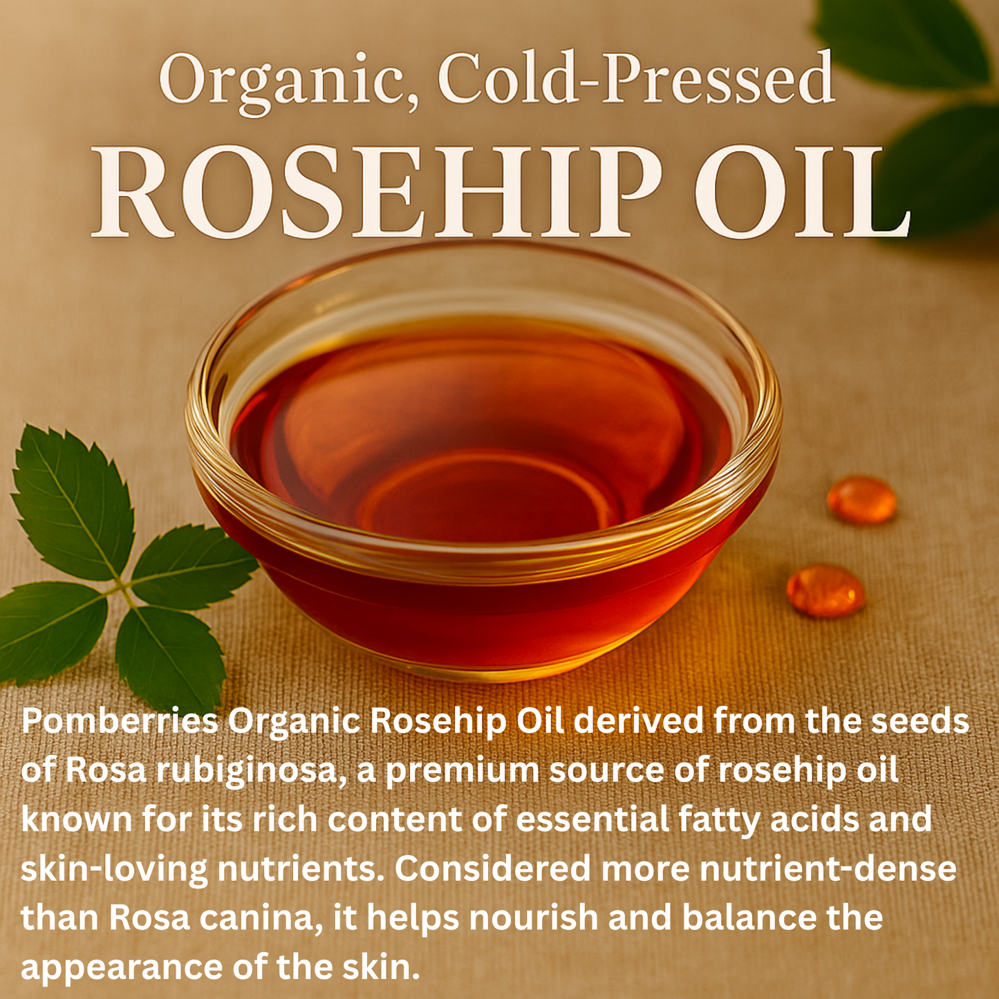 Organic Cold Pressed Rosehip Oil – 16 fl oz | Unrefined, Hexane-Free, Glass Bottle with Pump | Face, Body & Hair Moisturizer | Skin Brightening | Anti-Aging | Dark Spot Support