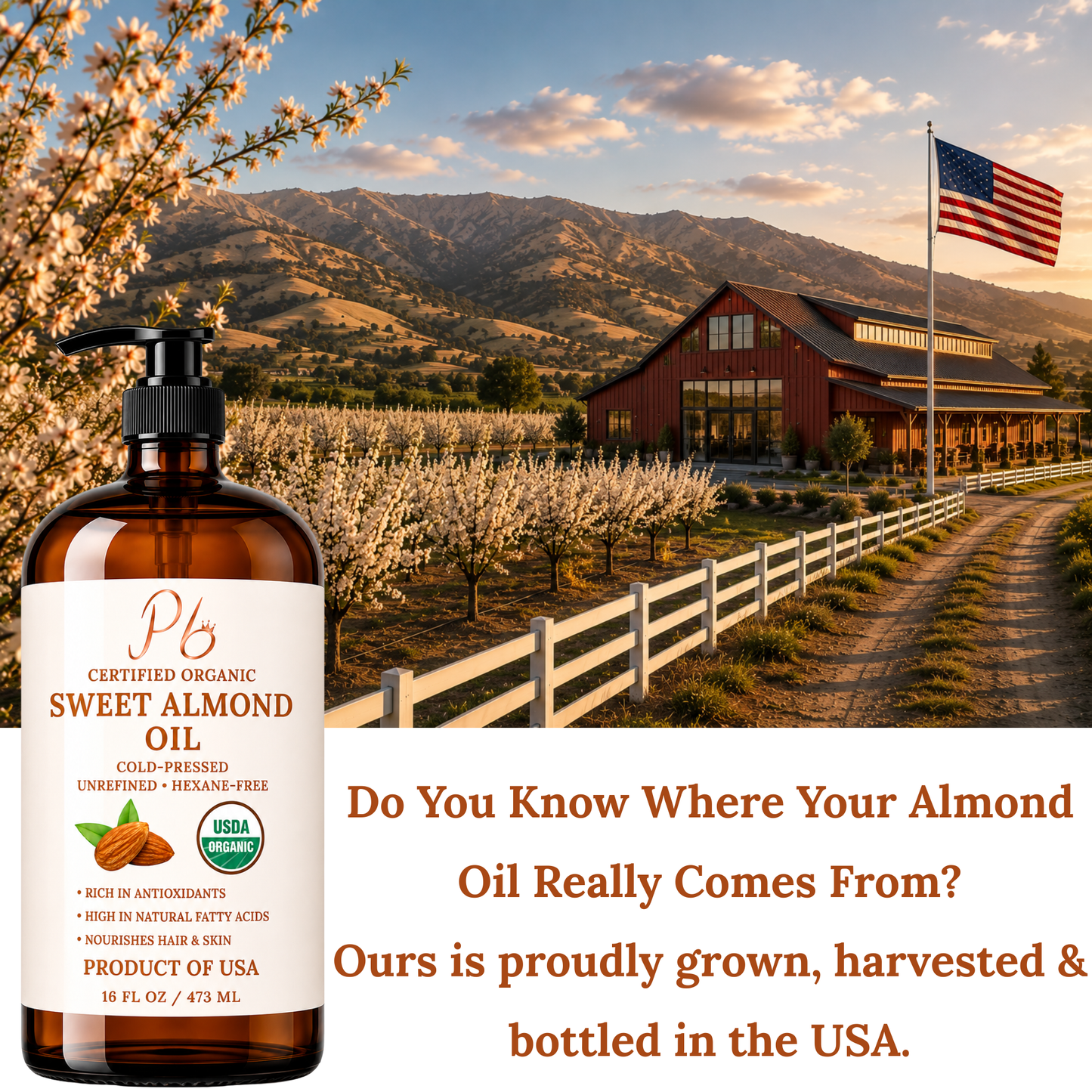 Organic Sweet Almond Oil for Hair & Skin – USDA Organic, Cold-Pressed, Unrefined – California Grown Almond Oil Bottled in USA – 16 fl oz Glass Bottle