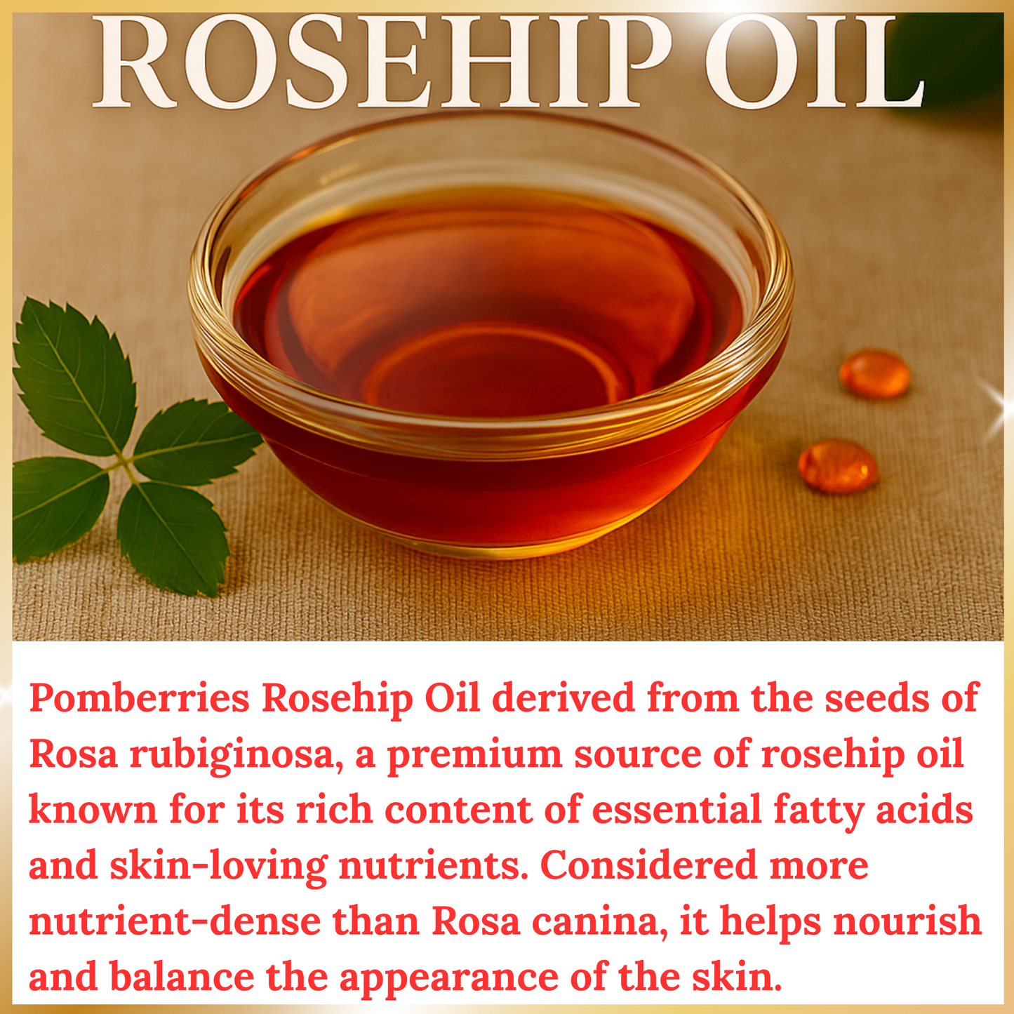 Pomberries USDA Organic Rosehip Seed Oil 16 fl oz (Rosa Rubiginosa) – Cold-Pressed, Unrefined – Amber Glass Bottle with Pump